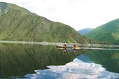 Жёлтая акула между небом и водой